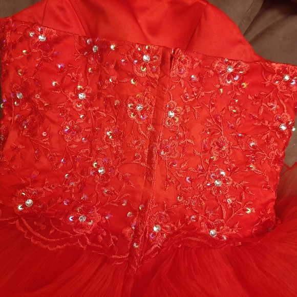 Red Organza Asymmetrical Formal Dress - Picture 3 of 7